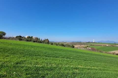 7311m² Land en Thessaloniki, Greece No. 108049 4