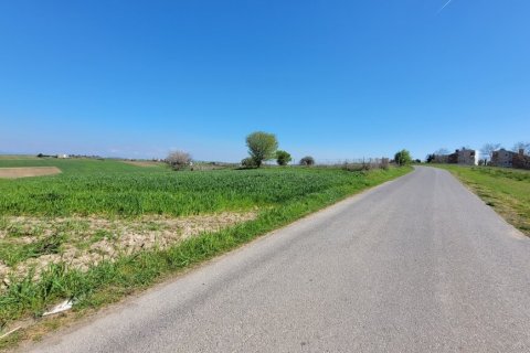 7311m² Land en Thessaloniki, Greece No. 108049 10