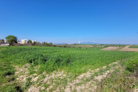 7311m² Land en Thessaloniki, Greece No. 108049 9