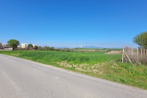 7311m² Land en Thessaloniki, Greece No. 108049 8