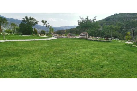 5 bedrooms Villa in Akrounta, Cyprus No. 30405 5