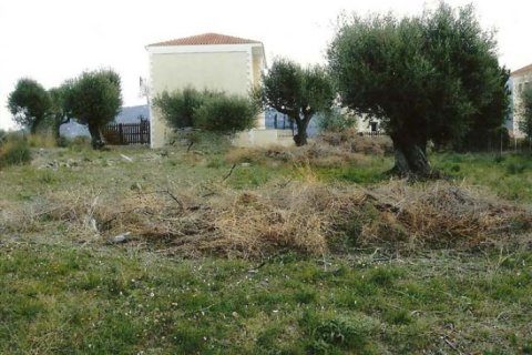 Land in Kefalonia, Greece No. 24487 3