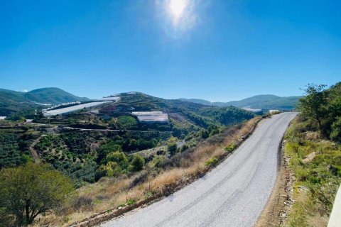 5 rooms Apartment in Lien Chieu, Vietnam No. 20608 23