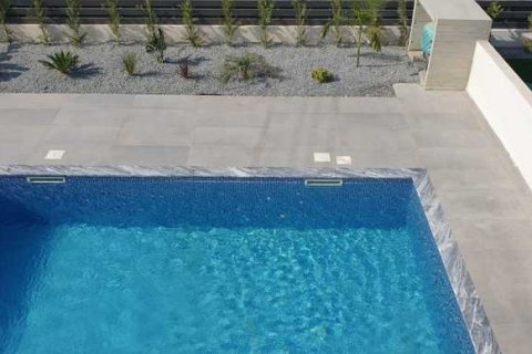 4 dormitorios Villa en Chloraka, Cyprus No. 66122 16