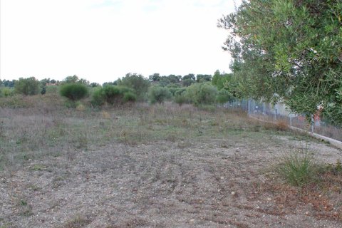 6300m² Land à Chalkidiki, Greece No. 60591 4