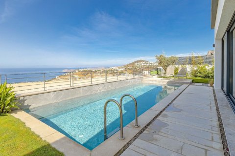 5 bedrooms Villa in Phi Dien, Vietnam No. 66471 5