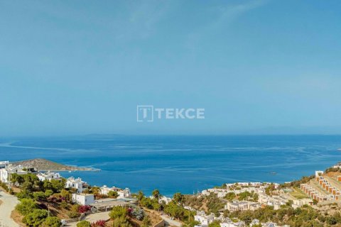 5 bedrooms Villa in Phi Dien, Vietnam No. 66471 4