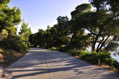 4000m² Land à Chalkidiki, Greece No. 109695 4