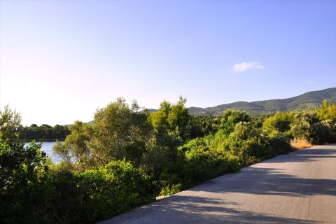 4000m² Land à Chalkidiki, Greece No. 109695 5