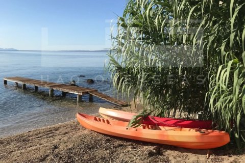 Вилла с 4 спальнями в Перама, Греция №24297 22