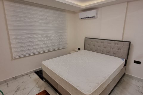 1 bedroom Apartment in Chau Lang, Vietnam No. 11996 2
