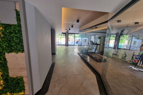 1 bedroom Apartment in Chau Lang, Vietnam No. 11996 13