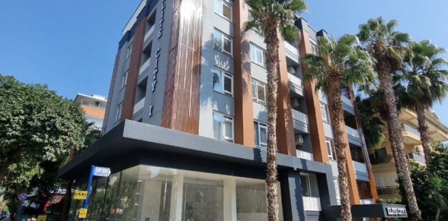 1 bedroom Apartment in Chau Lang, Vietnam No. 11996