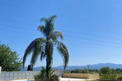 6 rooms Maisonette in Euboea, Greece No. 108144 9