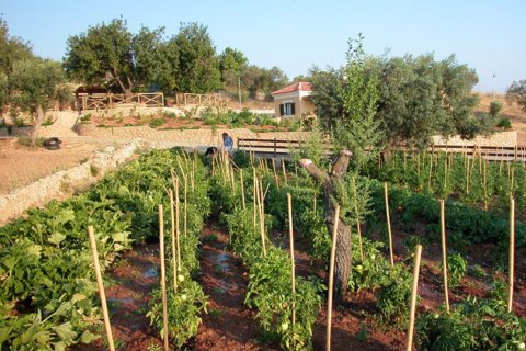 41575m² Land in Kranidi, Greece No. 56422 7