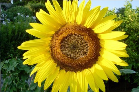 41575m² Land in Kranidi, Greece No. 56422 9