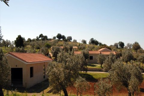41575m² Land in Kranidi, Greece No. 56422 5