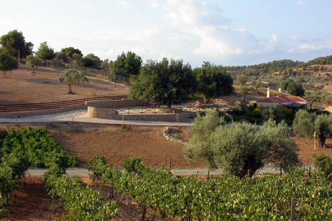 41575m² Land in Kranidi, Greece No. 56422 2