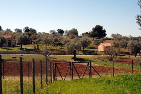 41575m² Land in Kranidi, Greece No. 56422 3