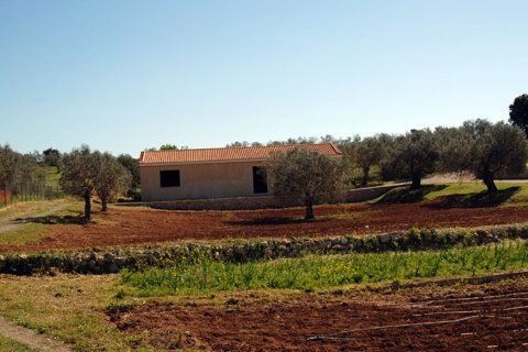 41575m² Land in Kranidi, Greece No. 56422 4