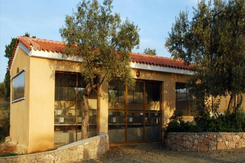 41575m² Land in Kranidi, Greece No. 56422 6