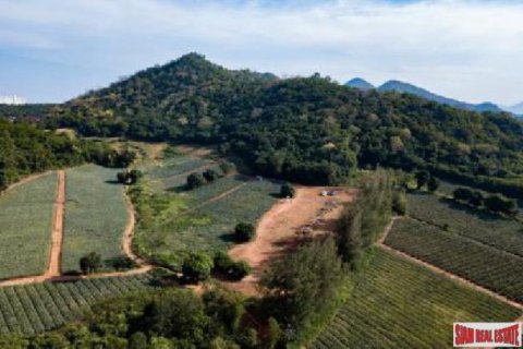 6240m² Land à Hua Hin, Thailand No. 95903 10