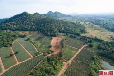 6240m² Land à Hua Hin, Thailand No. 95903 8