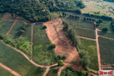 6240m² Land à Hua Hin, Thailand No. 95903 4