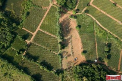 6240m² Land à Hua Hin, Thailand No. 95903 3