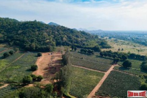 6240m² Land à Hua Hin, Thailand No. 95903 6