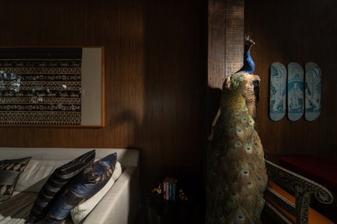 5 bedrooms Villa in Kamala, Thailand No. 97263 14