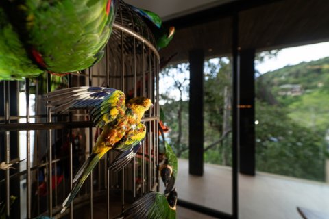 5 bedrooms Villa in Kamala, Thailand No. 97263 22