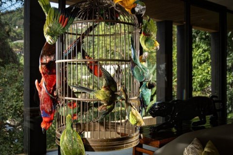 5 bedrooms Villa in Kamala, Thailand No. 97263 21