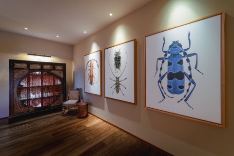 5 bedrooms Villa in Kamala, Thailand No. 97263 26