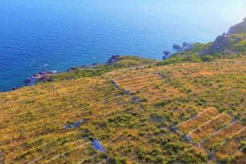 8000m² Land in Budva, Montenegro No. 104786 1