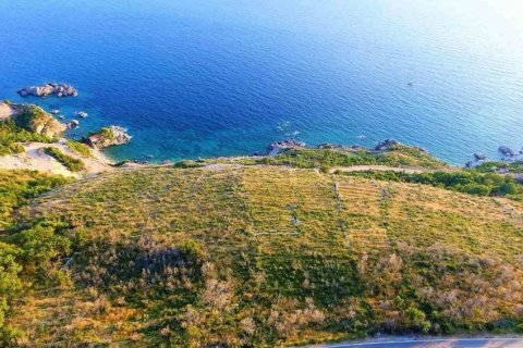 8000m² Land in Budva, Montenegro No. 104786 3