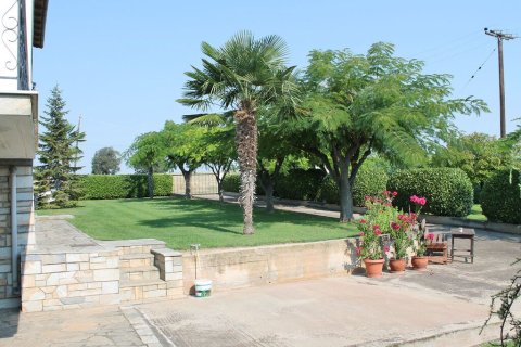 6 bedrooms Villa in Methoni, Greece No. 107963 25