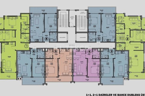 4 bedrooms Apartment in Chau Lang, Vietnam No. 11337 19