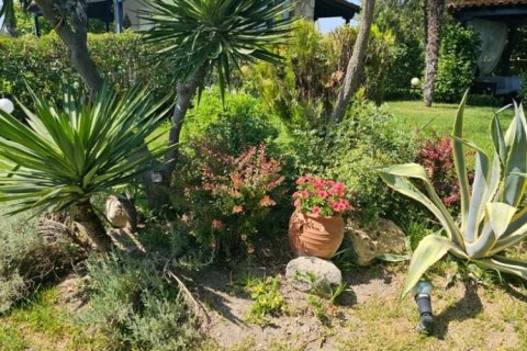 1 bedroom House in Chalkidiki, Greece No. 107507 16