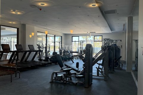 5 dormitorios Apartment en Chau Lang, Vietnam No. 80595 26