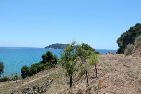 2700m² Land in Zakynthos, Greece No. 60227 2