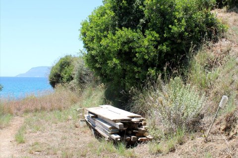 2700m² Land in Zakynthos, Greece No. 60227 13