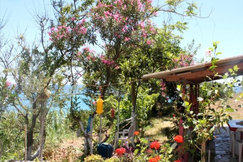 2700m² Land in Zakynthos, Greece No. 60227 12
