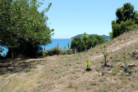2700m² Land in Zakynthos, Greece No. 60227 11