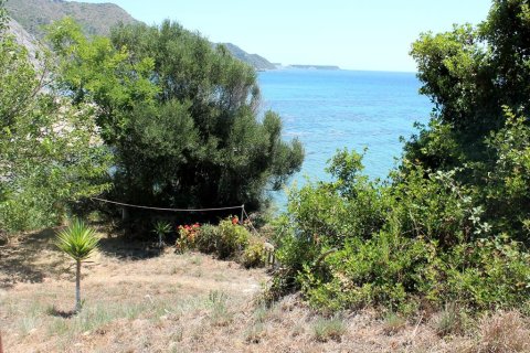 2700m² Land in Zakynthos, Greece No. 60227 9