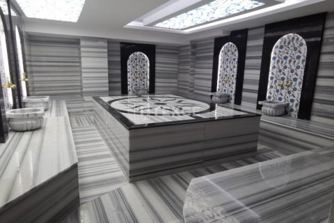 3 chambres Penthouse à Chau Lang, Vietnam No. 10927 19