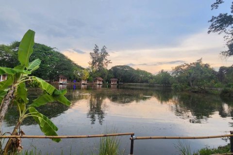 4 bedrooms Commercial property in Chiang Mai, Thailand No. 98190 16