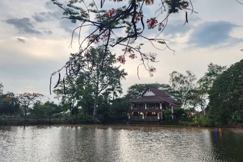 4 bedrooms Commercial property in Chiang Mai, Thailand No. 98190 23