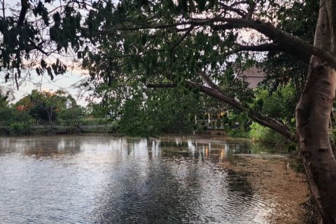 4 bedrooms Commercial property in Chiang Mai, Thailand No. 98190 18