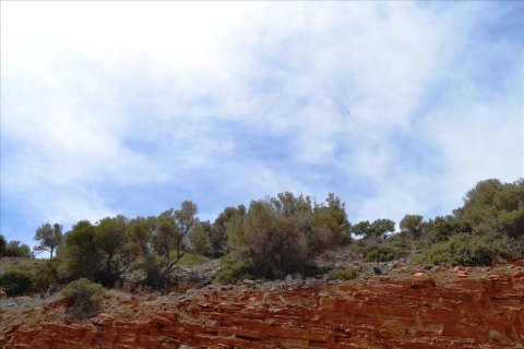 3373m² Land à Agios Nikolaos, Greece No. 59194 5